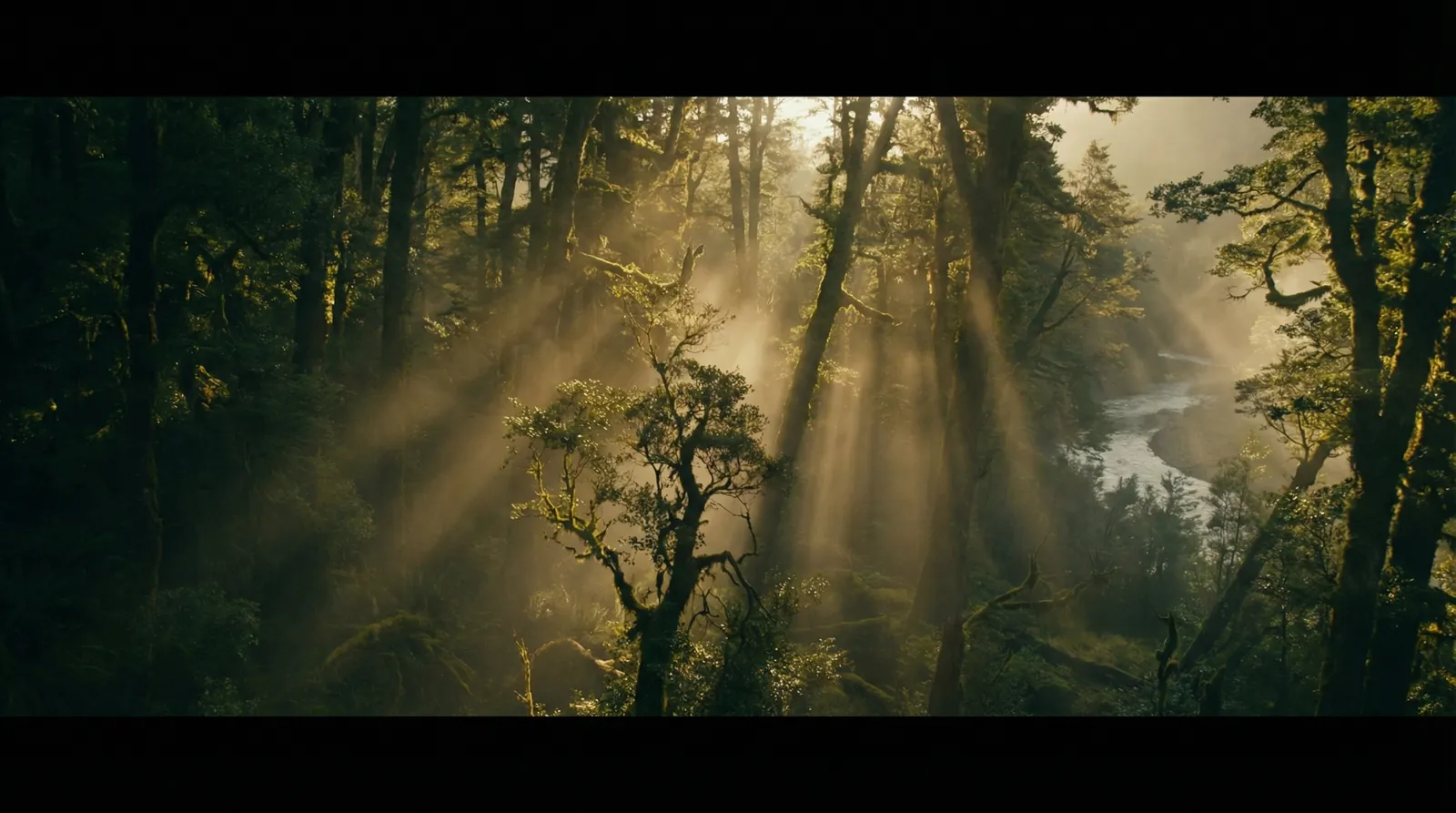 博业体育平台网址 自然纪录片风格调色案例